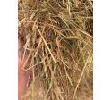 Bundel weidehooi kenmerk SDF met 9,1% suiker